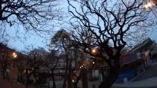 Ueno Zoo, University of Tokyo, Yushima Shrine, Ameyoko