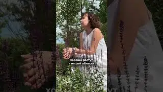 Как создать ВАУ сад? 😍 👇