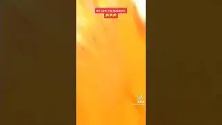 КОТ СРЕТ НА КРОВАТЬ. СОБАКА В ШОКЕ. 
