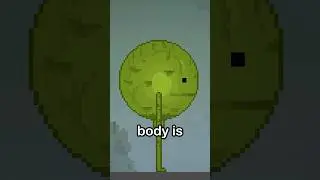 More CURSED Melon Playground Mods