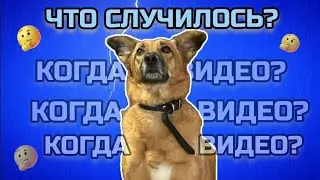 ЧТО СЛУЧИЛОСЬ - ПОЧЕМУ НЕТ ВИДЕО И КОГДА ОНИ БУДУТ? КУДА Я ПРОПАЛ