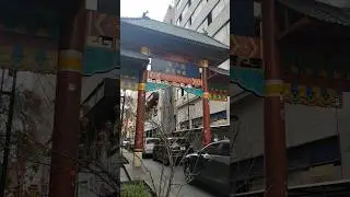 Barrio Chino(Chinatown) in CDMX 🇲🇽