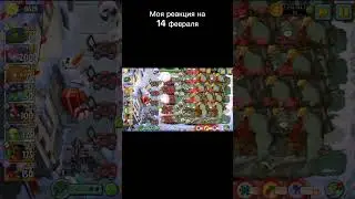 Моя реакция на 14 февраля