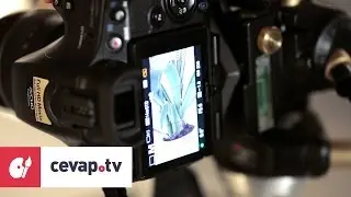 Doğa fotoğrafı çekerken nasıl bir objektif tercih edilmeli?