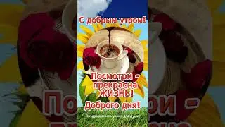 С добрым утром и с хорошим днем!  Good morning and have a nice day! 
