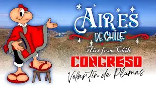 Congreso - Volantín de Plumas