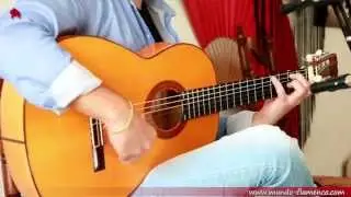 Antonio Rey, Alegrías