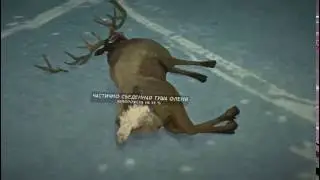 Забавный баг в The Long Dark