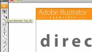 06 Direct Selection Tool