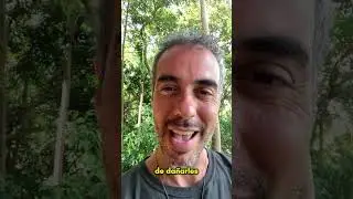 Resuenas? | Loto Vázquez