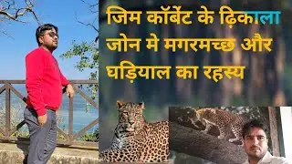 Dhikala Zone Mein CROCODILE aur Ghadiyal ka Secreat @Jim corbett national park
