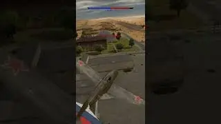 WT