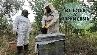 В гостях у друга на пасике . У нас опорос