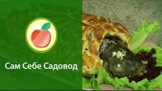 Карп в купальнике из теста