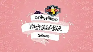 новогодняя распаковка