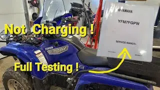 Stator Testing a Grizzly. NOT Charging !!