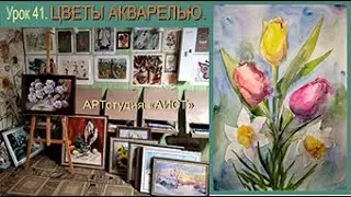 Тюльпаны и нарциссы акварелью. Урок 41