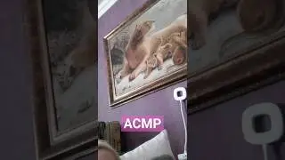 #shorts #асмр Заспокійливе Відео #иратвбелаяцерковь