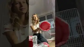 Гамачки в новую клетку 🐁