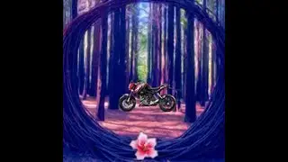 Aesthetic Forest Escape Game Walkthrough