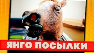 ЯНГО РАСПАКОВЫВАЕТ ПОСЫЛКИ: ЯНГО В МАСКЕ КОНЯ