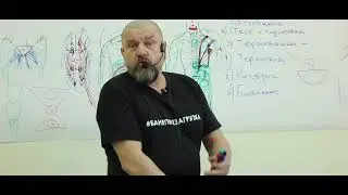 Fear and horror. Hernias and protrusions are the scourge of the 21st century. Oleg Ryabikov (Doctor)