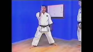 Goju ryu kata   Seiyunchin