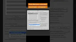 Let Software Automate Your Photo Organization