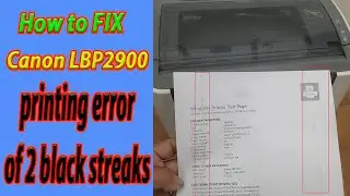 Fix Canon LBP2900 printer with printing error of 2 black streaks