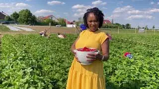 AN AFTERNOON WITH A FAMILY OF 5 IN GERMANY / Strawberry picking /Martha Fynest
