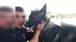 bork bork get nommed