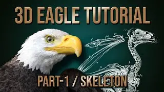 3D modeling of BALD EAGLE 🐦Tutorial / Tıme-lapse. Part -1 (Skeleton, Proportions, Retopology)