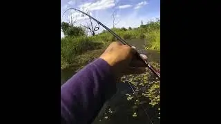 Разловил новый Воблер.