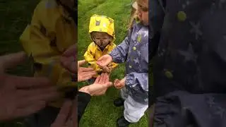 Frog Jumps Into Kid's Jacket - 1533296