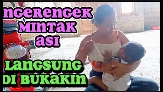 Mintak asi langsung di bukain