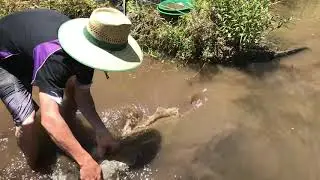 Where to look for GOLD in a CREEK!!