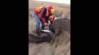 Охотники помогли оленю