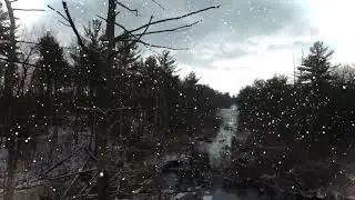 Frozen  oasis