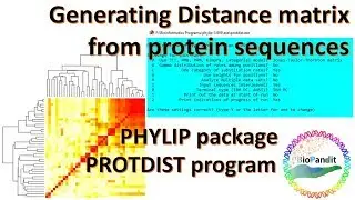 Generating Distance Matrix from Protein Sequences using PHYLIP