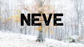 Fotografare la NEVE nel BOSCO dietro CASA - IDEE e CONSIGLI