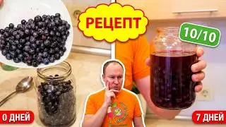 Tincture (liquor) from Isabella grapes on vodka at home The easiest and most delicious recipe