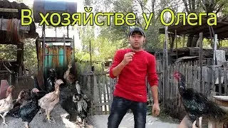 Рубрика 