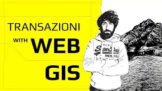 Parliamo delle transazioni su un WebGIS