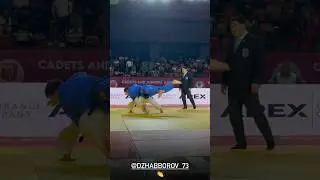 Партофти оли 🥋