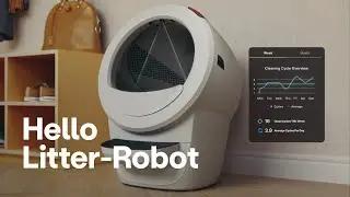 Hello Litter-Robot - the solution to the litter box problem