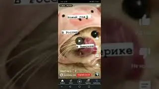 😂😏😏😏я лучше