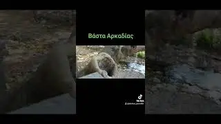 Βάστα Αρκαδίας