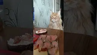 Авторитет по кличке Леопольд