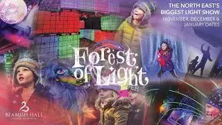 Forest of Light | Beamish Hall | 2025