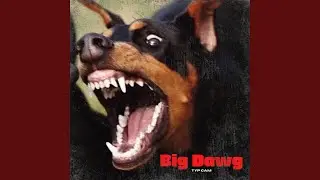 Big Dawg